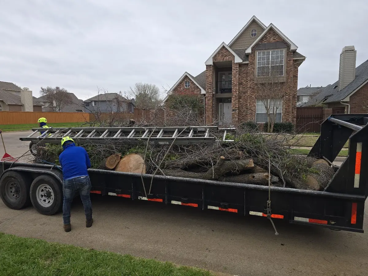 Expert Crown Reduction with proper safety equipment in Washingtonville